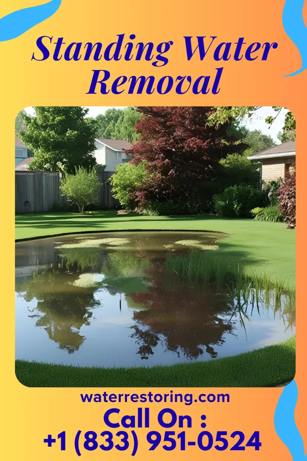 Standing Water Removal in Teachey, NC